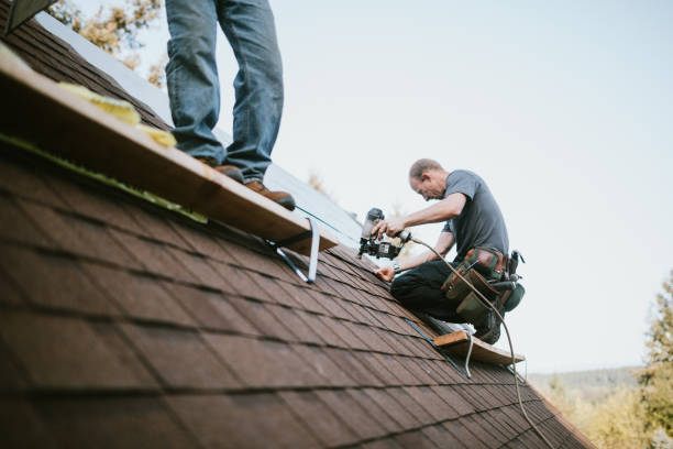 Reliable Springfield, MN Roofing Contractor Solutions